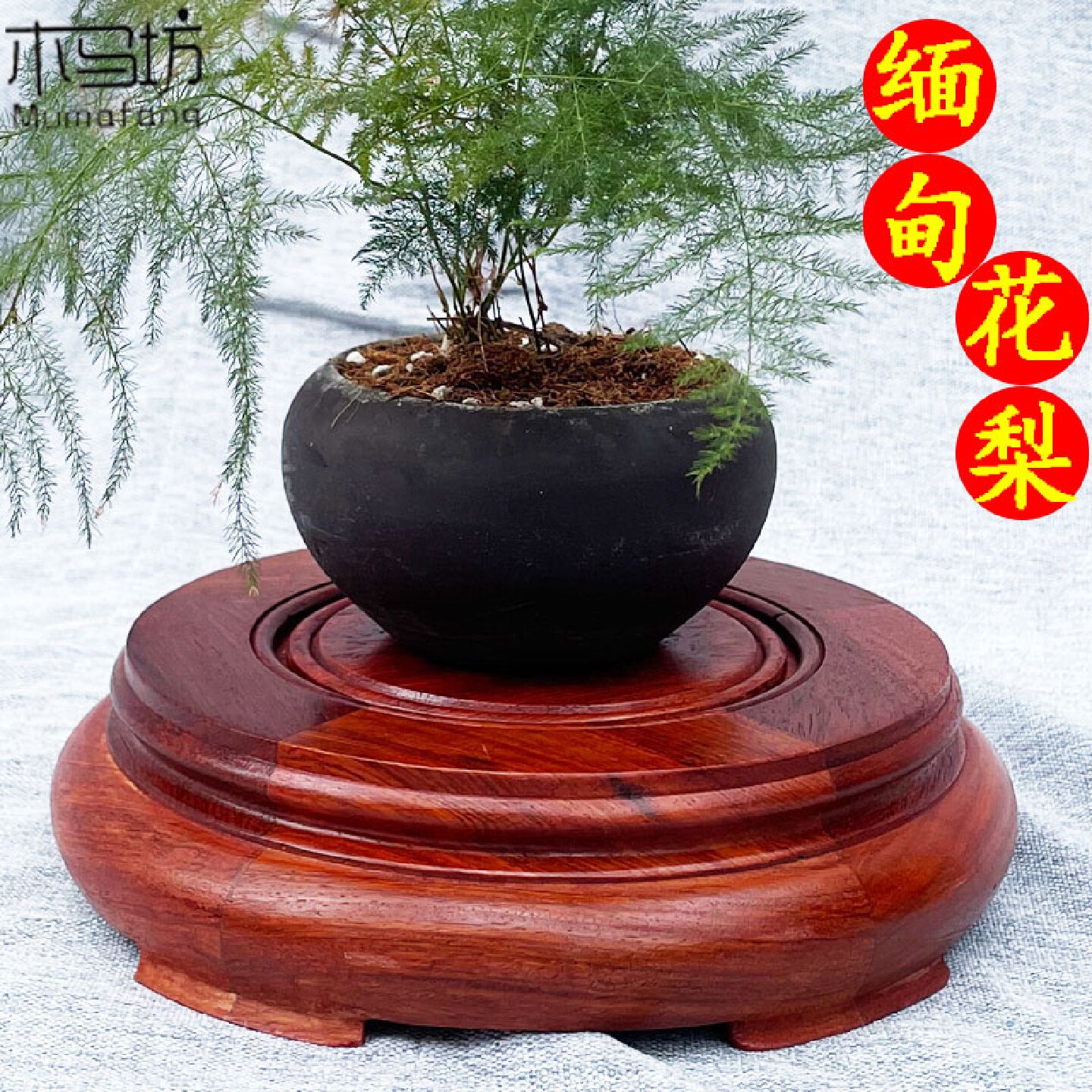 新款缅甸花梨木圆形摆件小底座实木文玩多肉石头托架中式红木茶托