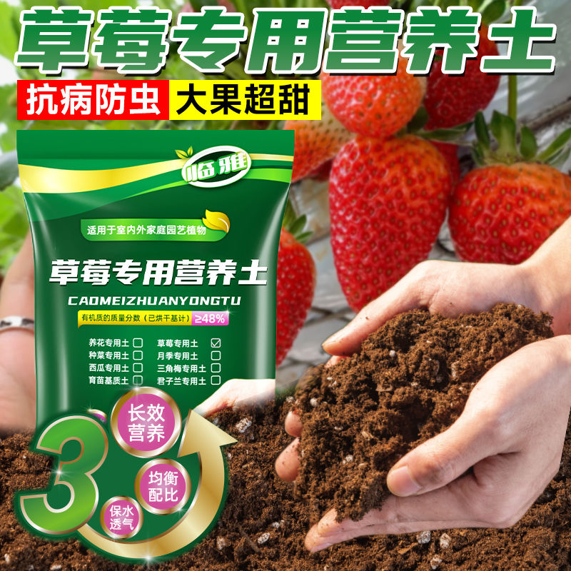 草莓专用营养土盆栽种植土泥土蔬菜种菜育苗土壤阳台肥料批发