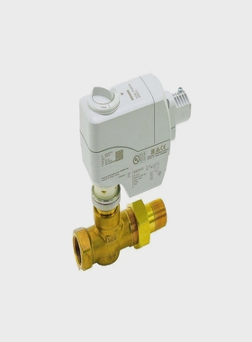 SiemensBuildingTechnology259-02045-2WN/OBrassFxum3/