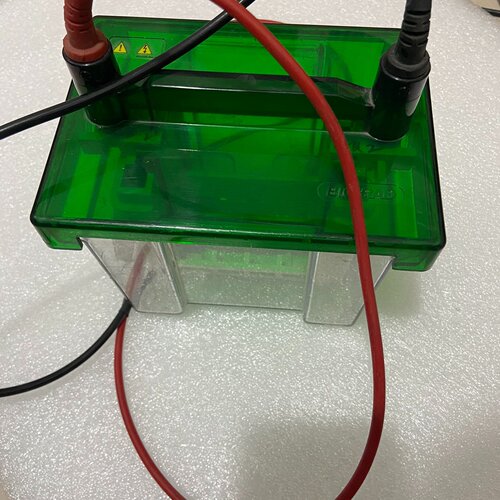 BIORAD伯乐电泳槽PROTEAN3C议价