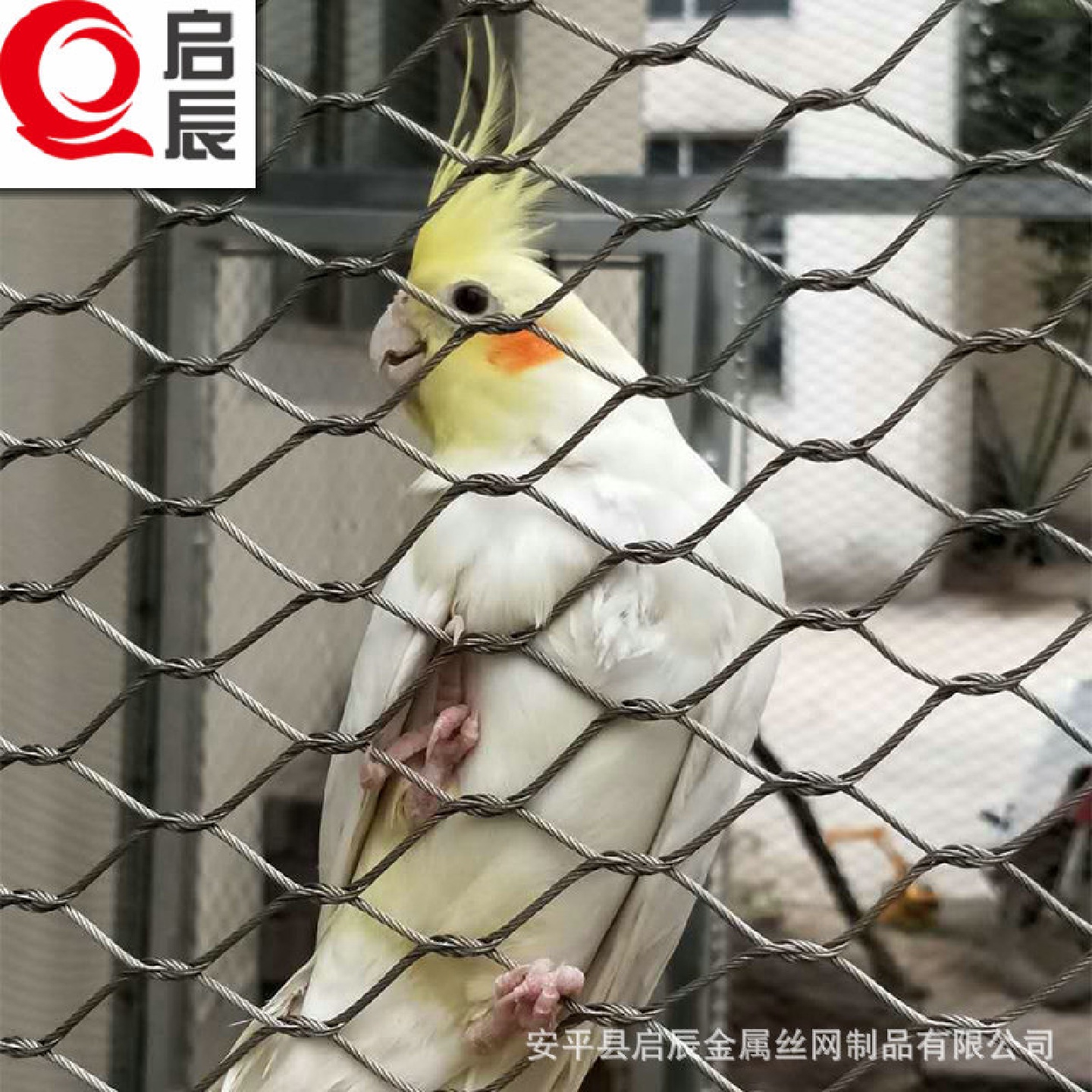 不锈钢绳网鸟笼舍围网百鸟园网动物园鸟语林网生产厂家