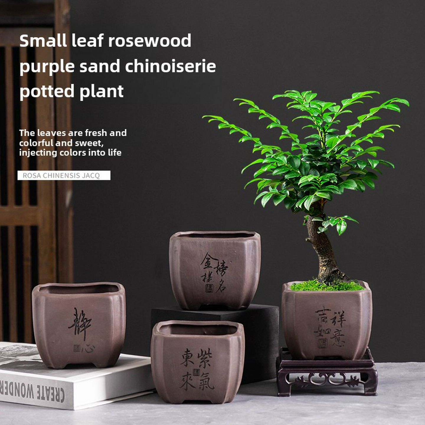 禅意方形紫砂花盆陶瓷家用小叶紫檀桌面带托盘绿植专用盆栽盆摆件