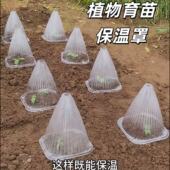 育苗保护罩大棚植物防虫蔬菜保温幼苗秧瓜苗防霜防鸟菜苗钟罩重复