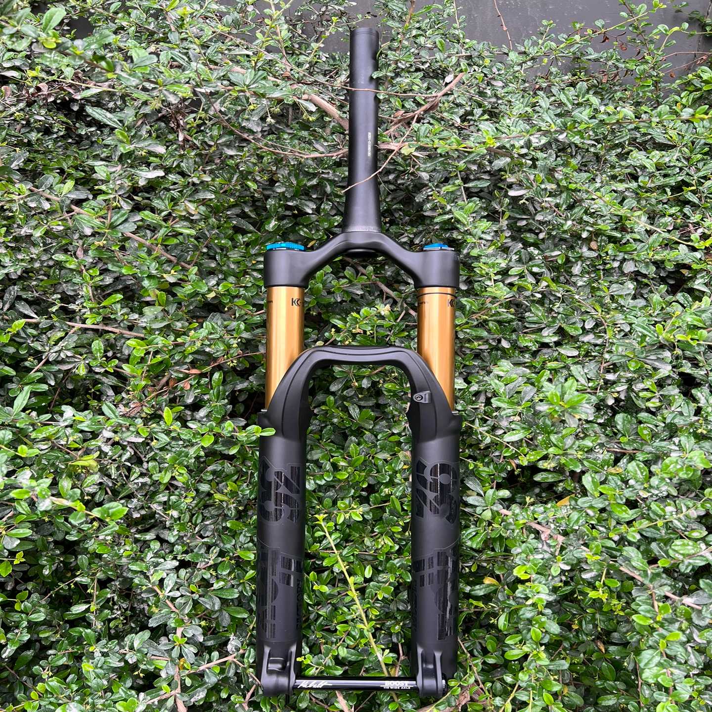 FOX36前叉Factory36275/29Gri--议价商品