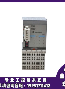 议价1734D-IB8XOB8E罗克韦尔AB控制器正品质量售後无忧1734DIB8XO