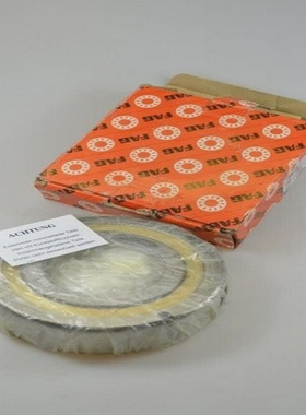 FAGQJ315-N2-MPA,Vierpunktlager/四点轴承