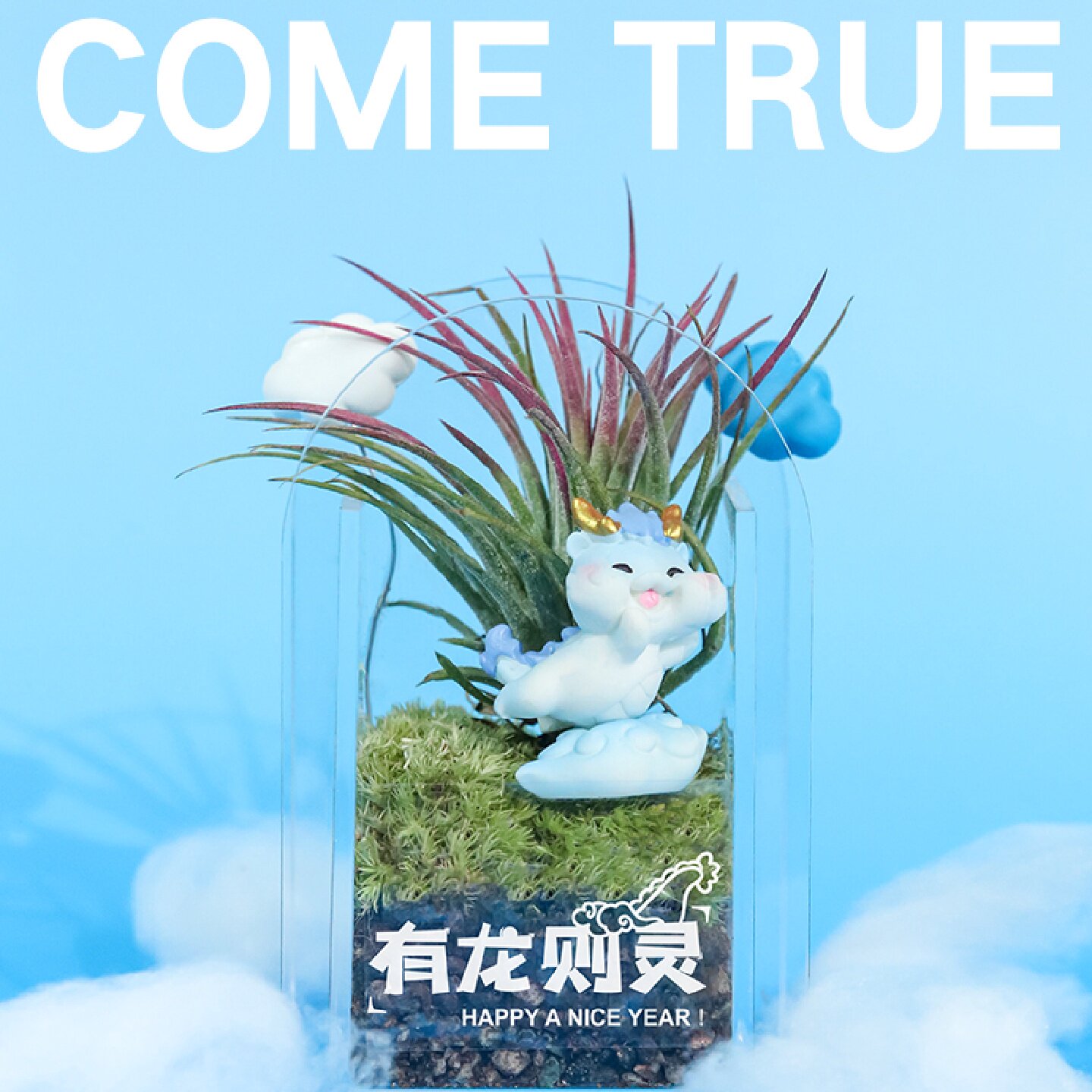 失控绿氧空气凤梨桌面绿植摆件苔藓微景观办公室盆栽礼物送人