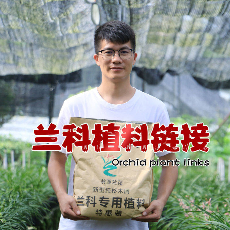 万亩兰场兰花专用土植料石斛蝴蝶兰君子兰科杉木屑营养花土促