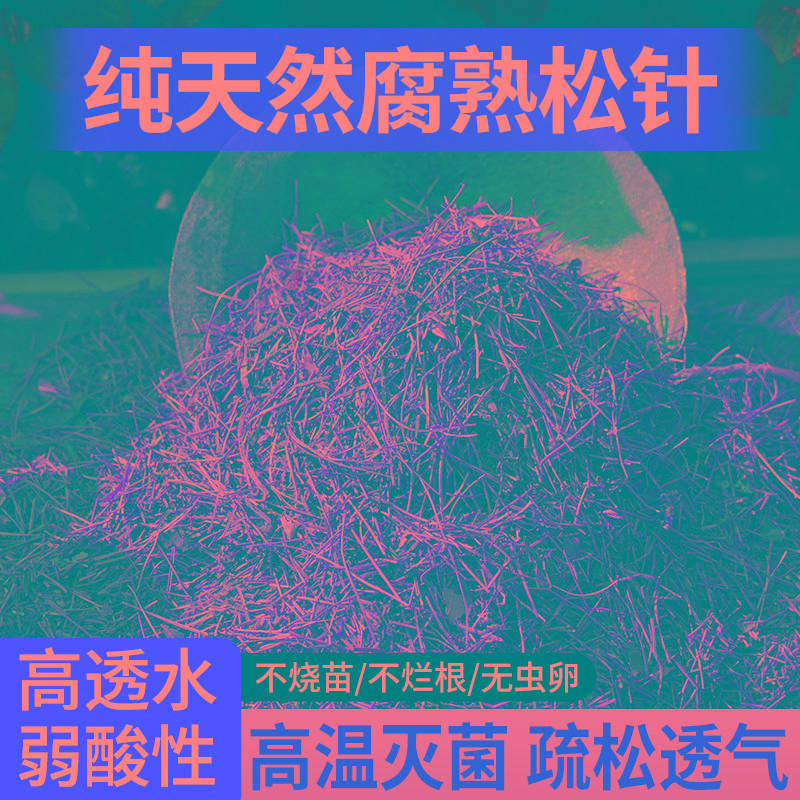 纯松针腐熟纯天然腐殖土发酵垫材腐叶君子兰专用土兰花盆栽营