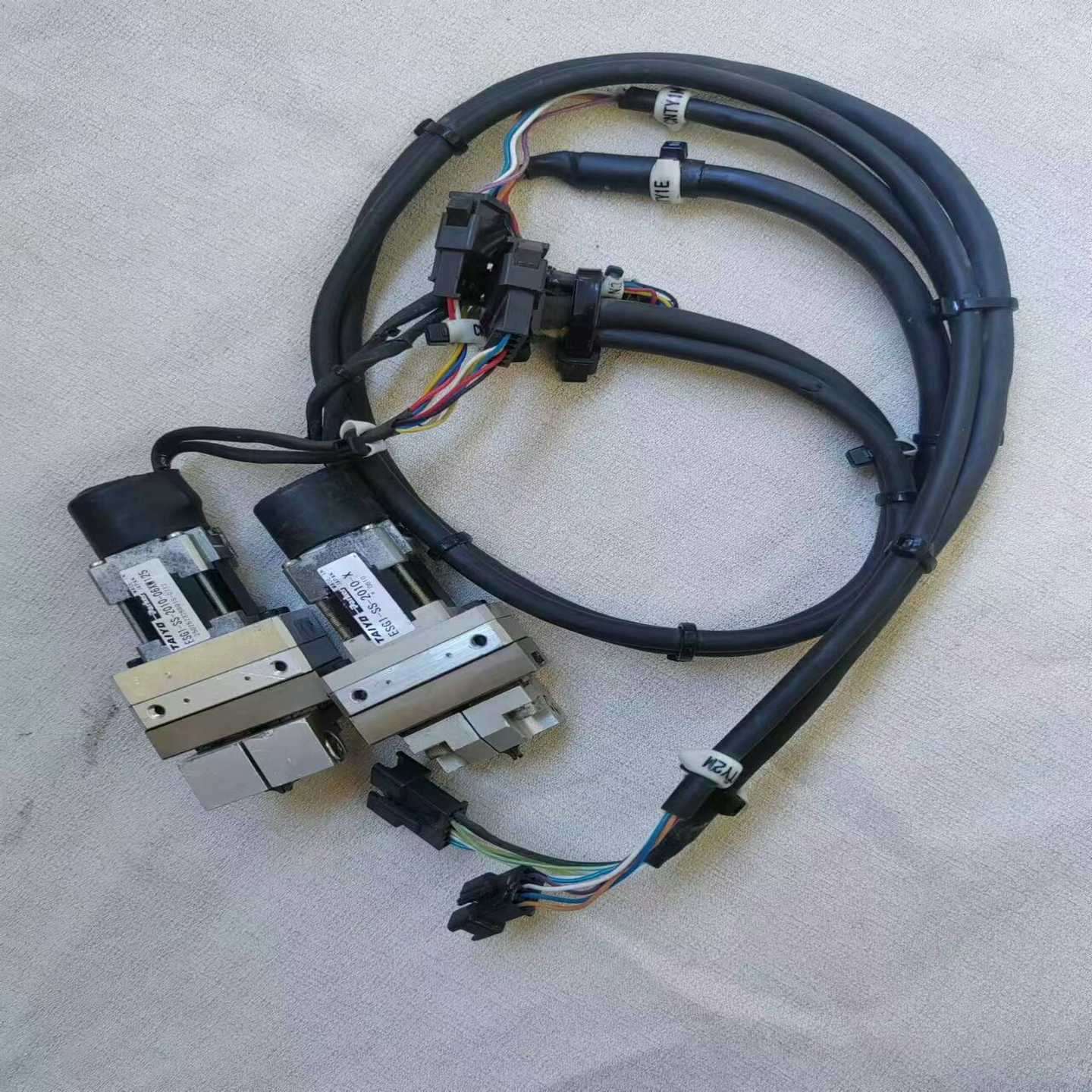 TAlYO  ESG1-SS-2010-Ⅹ    ESG1-