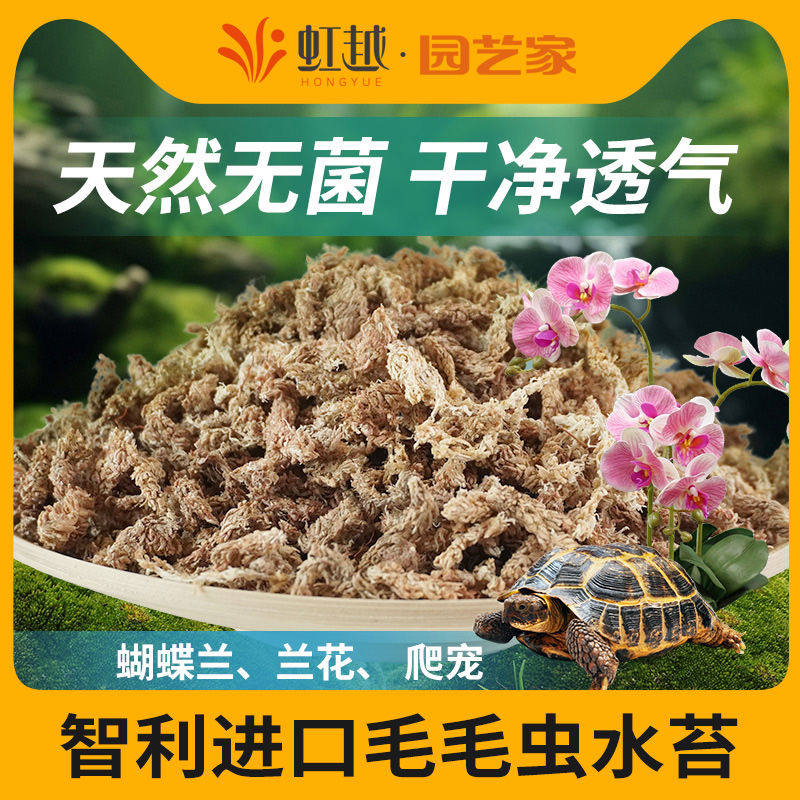 虹越智利进口水苔蝴蝶兰专用土干苔藓毛毛虫水苔柱爬宠乌龟垫底