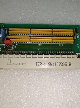 【请询价】Gespac TER-1 GESTER-1 8307 二手拆