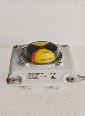 GeorgFischerGF3482805SRBC-CA3-YR90-MW-22A-1W-C2P20执行