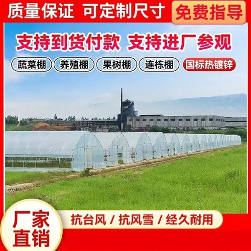 大棚钢管骨架定制温室养殖大棚全套蔬菜大棚农业钢架热镀锌种植棚