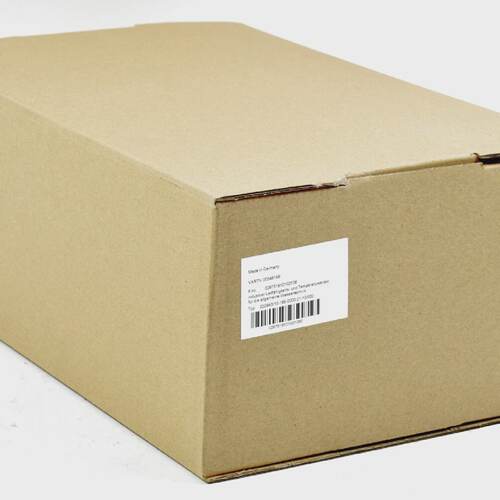 Jumo ecoLine Ci LeitfhigkeitsTemperatursensor 20294310168000