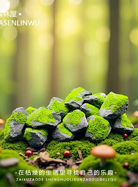 微景观造景森林苔藓石头DIY装饰品盆栽花盆鱼缸景观石头小摆件