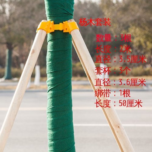 树木支撑杆镀锌钢管塑料松木杨木杉木杆子防风小头口径大树苗支架