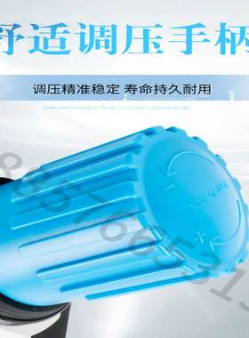 议价-162583Lr-1/4-D-7-Mini德国Festo现货特价快速交货