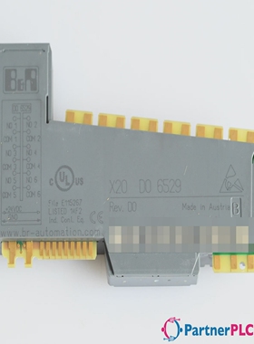 B&RX20DO6529UsedRev.D0