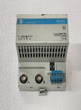 Allen-BradleyFlexEx1797-ACNR15Ser.CRevD01Redundanter