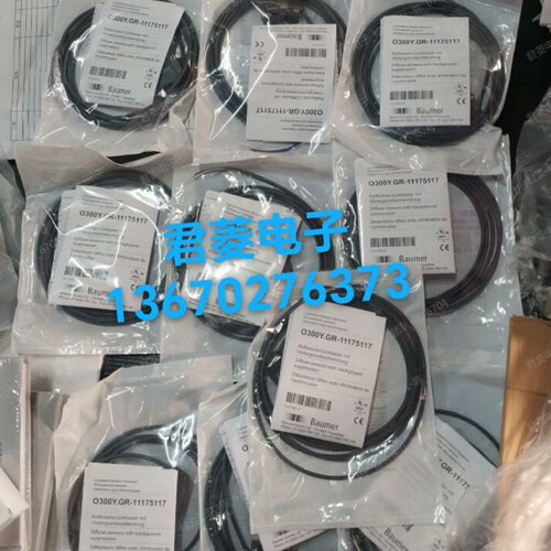 堡盟O300Y.GR11175117议价-议价
