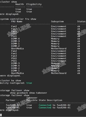 【请询价】NETAPP FAS8200AFF A300 X3172A