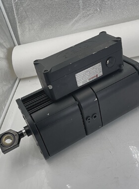 PINTSCH BUBENZER BL 806S800430000.00184 2000N 0.60KW BUEL F