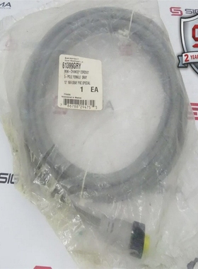 WOODHEAD61399-GRYCABLE