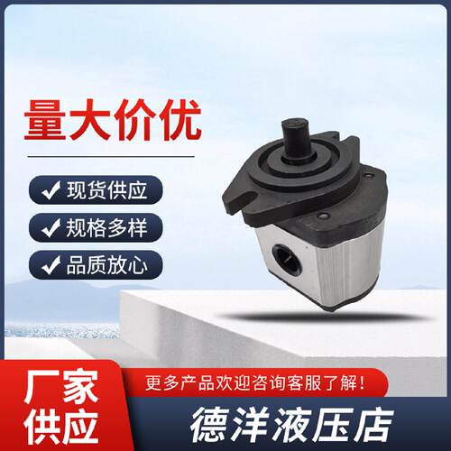 寻凯斯帕油泵CASAPPA齿轮泵PLP30.2227343843516173液压帮浦