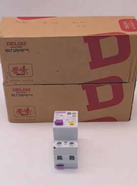 议价Tyble C16 Delixi Tayee Leaka Protector 2P Double In  Dou