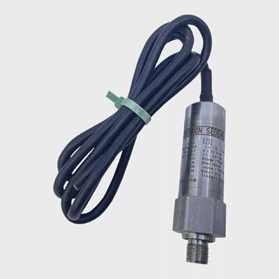 Bourdon Sedeme EZ12 Pressure Sensor for Industrialist Insert
