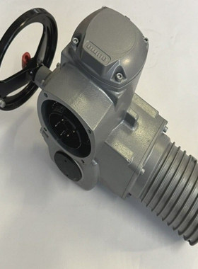AUMASA10.1-F10SA10.1-F10DrehantriebAD0071-2/80Motor