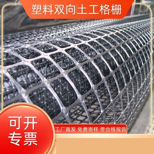 钢塑格栅玻纤格栅单向双向三向涤纶塑料土工格栅护基厂家直销