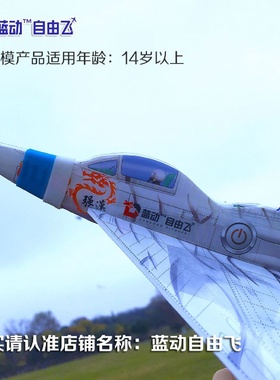 1【2万人收藏】玩具航模男孩儿童电动飞机滑翔机手抛飞机户外拼装
