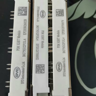 BG75G12F13L4全新的-议价