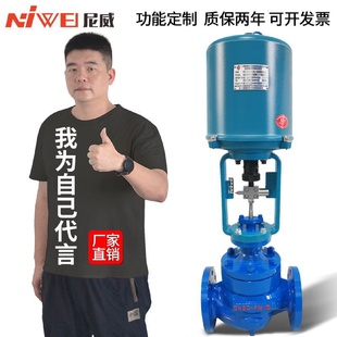 薄膜铸钢阀门 电动调节阀ZDLP比例阀蒸汽高温流动减压二通式