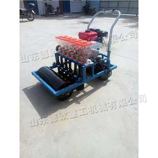 大型蔬菜播种种植机 绿色有机蔬菜播种机 胡萝卜菠菜洋葱种植设备