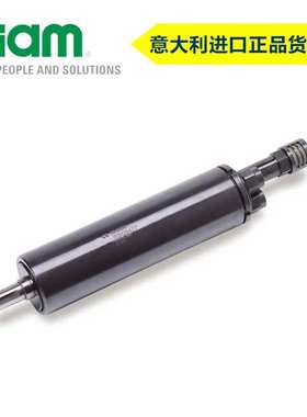 意大利FIAM 紧凑型叶片气动马达