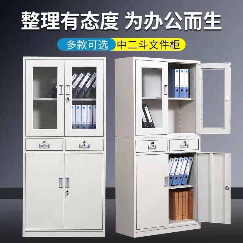 铁皮柜储物柜家用档案柜文件柜钢制资料柜财务凭证办公室矮柜书柜