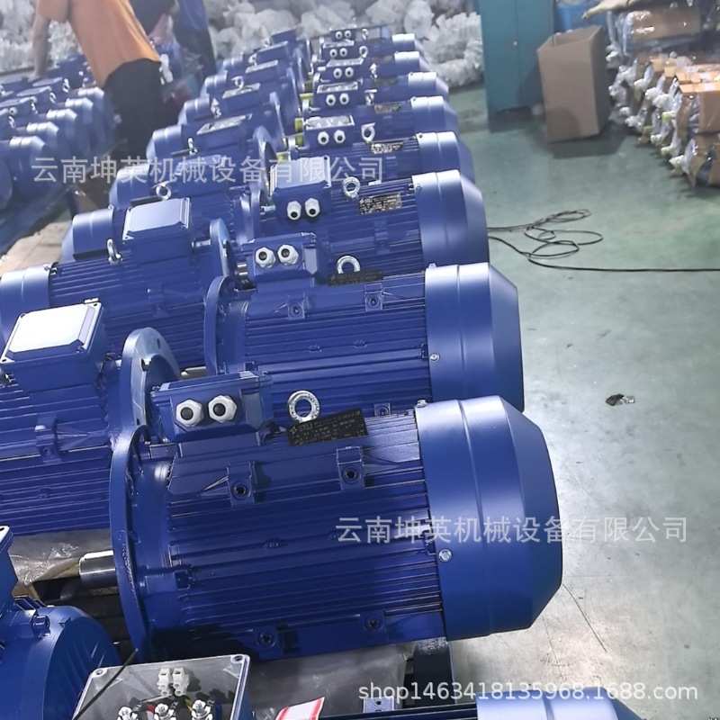 YE2 YE3系列22kw4级昆明三相异步电动机 质保一年 售后维护有保障