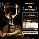 假绿植装 饰室内大型盆栽落地摆件植物 饰彷真龙血树高端轻奢客厅装