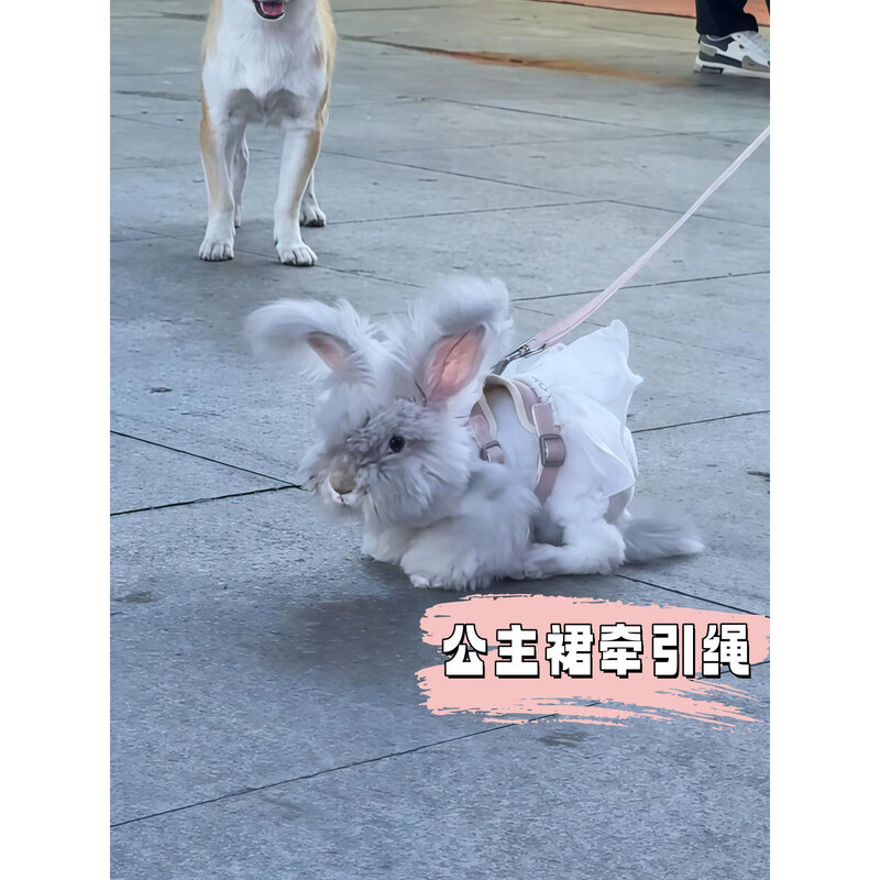 兔子牵引绳胸背式背心牵引绳遛狗猫牵引绳防挣脱外出专用宠物用品