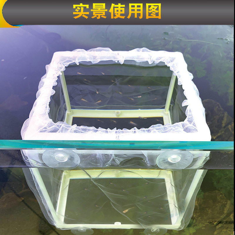 密网繁殖箱孔雀鱼苗专用超密细网箱小型热带鱼小鱼隔离鱼崽孵化盒