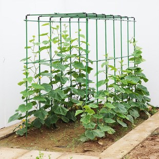 爬藤架葡萄黄瓜豆角种菜架花卉植物支撑杆西瓜西红柿架瓜棚搭架子