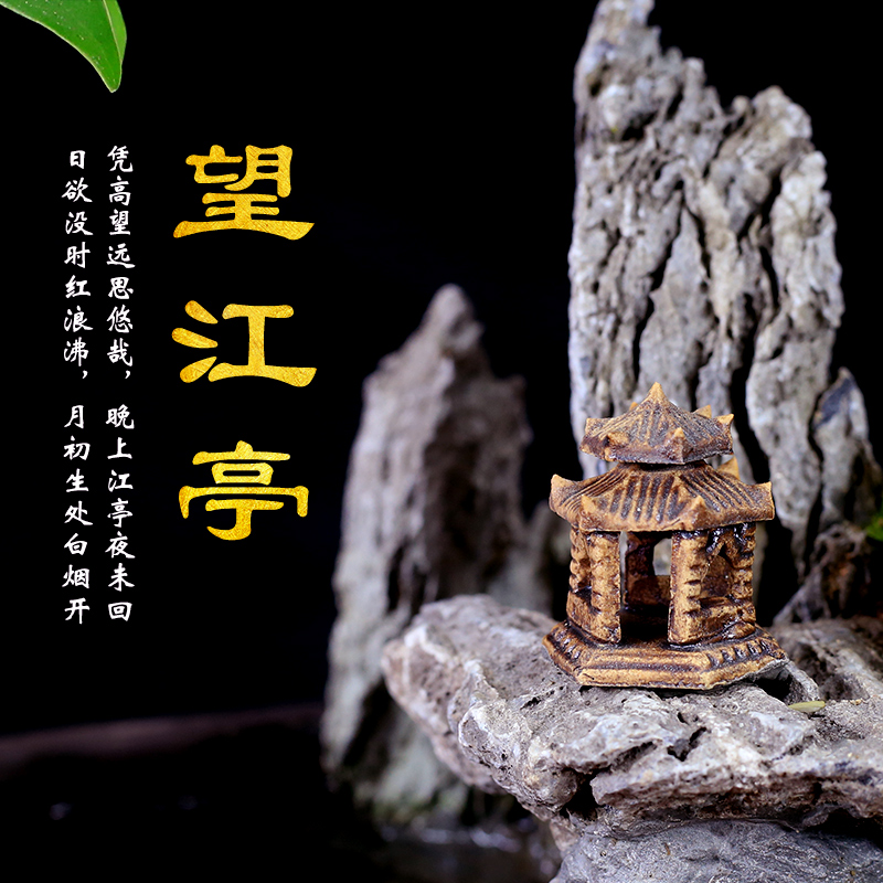 福建茶盆景山水假山石造型植物室内客厅办公室桌面绿植盆栽摆件