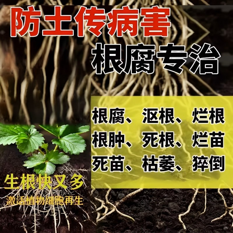 生根药水复活液枯树再生液猛生根原液粉多灵菌营养果树植物复活