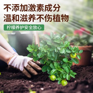 柠檬树肥料专用颗粒肥营养液缓释肥复合肥盆栽挂果结果有机肥
