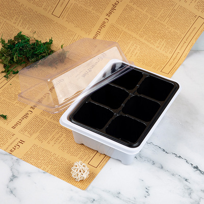 播种育苗盒带盖多肉叶插育苗盆小号穴盘育苗盘播种器植物育苗箱