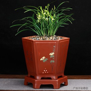紫砂兰花专用盆桌面实用手工六方点彩陶瓷盆景绿植兰草花盆带底座