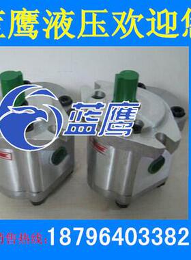 齿轮泵CBW-F304/F306/F308/F310/F312/F314/F316/F320/F325-ALPL